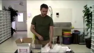 How We Ship