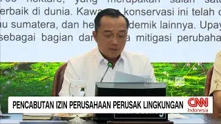 Pencabutan Izin Perusahaan Perusak Lingkungan