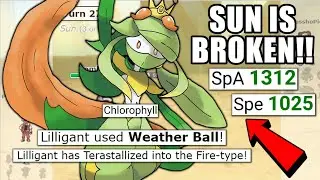 CHLOROPHYLL WEATHER BALL LILLIGANT IS SO GOOD! POKEMON SCARLET AND VIOLET | POKEMON SHOWDOWN