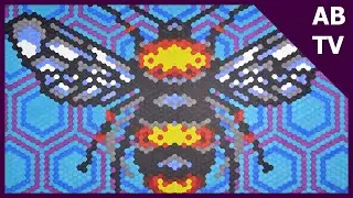 Colour Quest | Speed Colour #5
