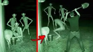 Top 10 Unexplained Creatures Caught Clearly on Camera