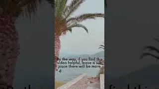 This is the right time to plan a trip to Akasha beach hotel and spa 📹anarikasadventures