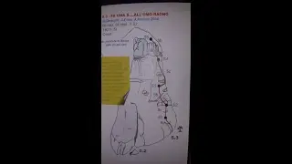 Pania Secca - via FA NA SEGA ALL' OMO RAGNO