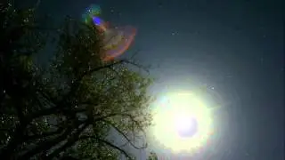 Moon through the trees - clouds - stars lapse