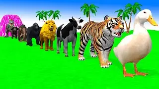 Long Slide Game With Elephant Gorilla Buffalo Hippopotamus Tiger 3d Animal Game Funny 3d Animals