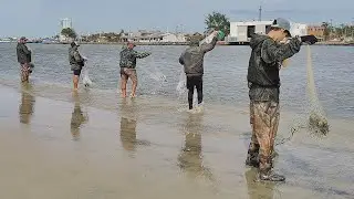Pescarias de tarrafas, 19-12-24,  Barra de Tramandaí, RS. Botos farejando. #fishing #peixes #netfish