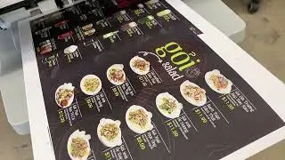 Ricoh color Menu printing 12x 18