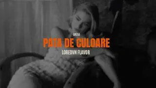 Andia - Pata de culoare | Loredvn Flavor