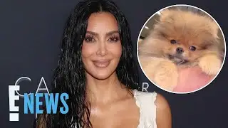 Kim Kardashian Shares Glimpse at Home Life With Her 4 New Puppies | E! News