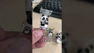 Panda Candy #panda #candy