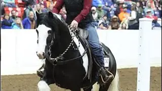 2025 Versatile Horse and Rider Reserve Champion Masquerade and Kayla Bossler