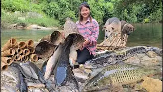 The life of a Vietnamese girl and her two smart dogs who go fishing for a living - ha thi muôn