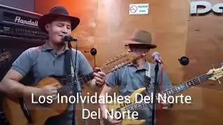 La Muchacha Del Conejo Cover