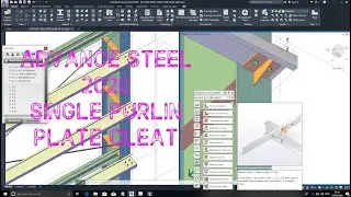 ADVANCE STEEL 2020:#29-SINGLE PURLIN PLATE CLEAT-DW