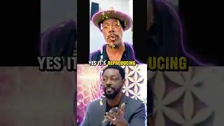 Terrence Howard & Billy Carson [Living in a Holographic Universe] #4biddenknowledge