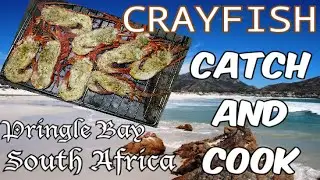Crayfish Catch And Cook | West Coast Rock Lobster In Pringle Bay South Africa