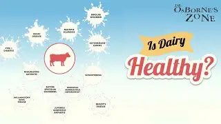 Does Dairy Cause Autoimmune Disease? - Dr. Osborne's Zone