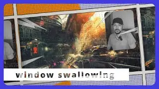 Window Swallowing | nie wieder ohne...