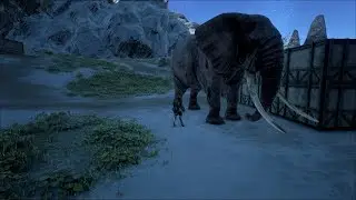 Dark & Light Shard of Faith EP 9 We Tamed An Elephant!!