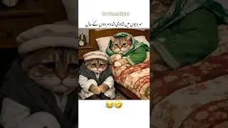 Sirdio  Main Shaadi  Sudha ￼ Mardo  ￼#funny #funnyvideos #shorts #cat #cartoon