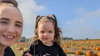 Pumpkin Picking 🎃🧡