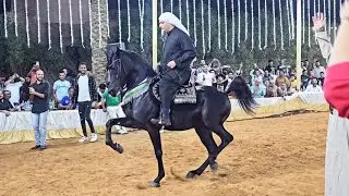 رقص خيل المعلم كرم سرحان و مستر هارلي حفلة الشيخ ناصر المنصوري 2023