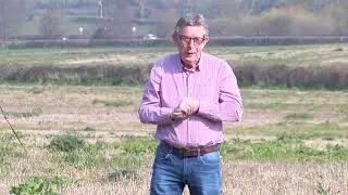 Clinton Rogers - Shout about Somerset Day from the rooftops !