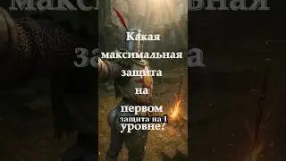 Максимальная защита на первом уровне в D&D2024