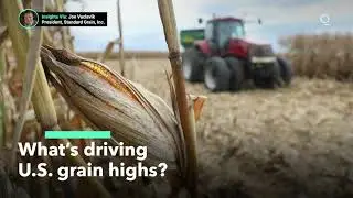 Why Are Wheat Prices Surging?