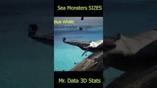 Sea Monsters SIZE Comparison 2024 || Fish SIZE Comparison 3D #bloop #megalodon #elgranmaja #dinosaur