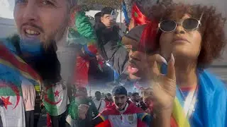 Les supporters au c&oelig;ur du choc RDC&ndash;Alg&eacute;rie