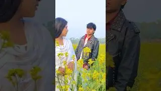Dream video of Every Srkian😍 | Gulfu sheikh | Srk | Kajol | Ddlj | Tujhe dekha to | Junior srk