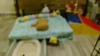 Susquehanna Service Dogs Puppy Cam