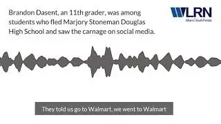 A student who fled the Stoneman Douglas High School shooting describes what he saw on social media.