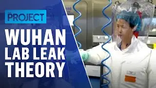 Leaked Footage Reveals Live Bats In Wuhan Lab | The Project
