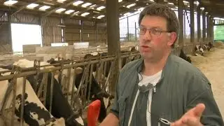 Les producteurs de lait en difficulté