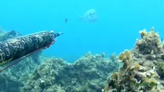 Pescasub : il fucile telecomandato con Concetto Felice by Salvimar