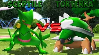 Pokemon battle revolution - Sceptile vs Torterra