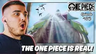 The GREATEST Ending To A Character EVER! | THE ONE PIECE IS REAL!!! | One Piece | Eps 485 REACTION!
