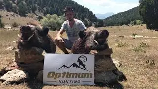 Hungarian Hunters hunting wild boar in Turkey with Optimum Hunting (Hungarian)