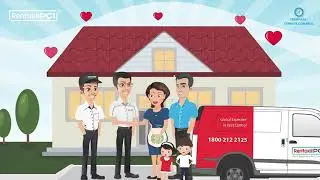 Termite Treatment at Homes | Mary Seeks Termite Control Services!