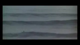 Big Wednesday - Swells