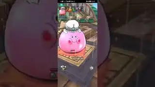 TH Cup - Beta Tourney : 8 Players Match - ETH Kingly (winner) vs bd : DQ Tact