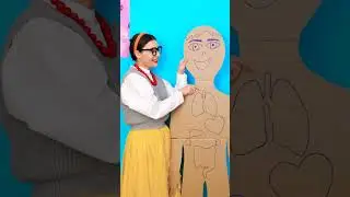 Explore the Amazing World of Organs!🫀🧠 Fun Crafts for Kids and Parents!🎨✨