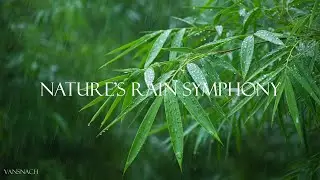 4K Relaxing Rain & Nature Music | Calm Piano, Forest Rain, Deep Relaxation (1 Hour)