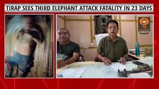Tirap Records Third Elephant Attack Fatality in 23 Days