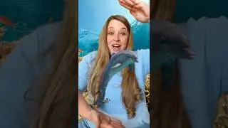 Ocean Animals 🐬 Opposites Song #kidssongs #kidslearning