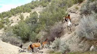 Cliffside Confrontation: Eight and Pacino Face Off April 24 2025