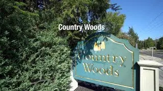 Country Woods