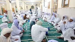 سلكة الشيخ سيدي مولاي الحبيب زلفانة ولاية غرداية الجنوب الجزائري